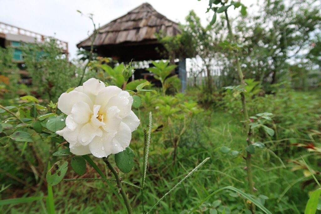 tư duy sáng tạo là gì